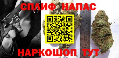 мяу мяу мука Тара